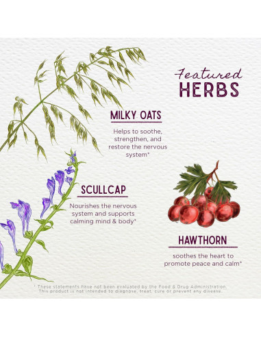 Tintura Herbal Natural WishGarden Sueño Niños 118ml Sin Melatonina