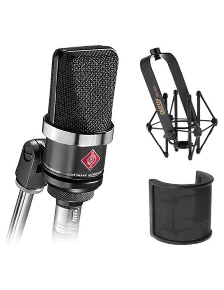 Micrófono de Condensador Neumann TLM-102 Negro con Soporte y Filtro