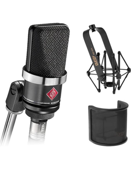Micrófono de Condensador Neumann TLM-102 Negro con Soporte y Filtro