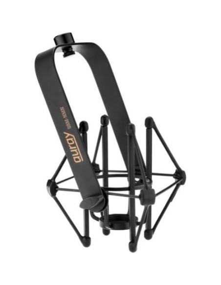 Micrófono de Condensador Neumann TLM-102 Negro con Soporte y Filtro