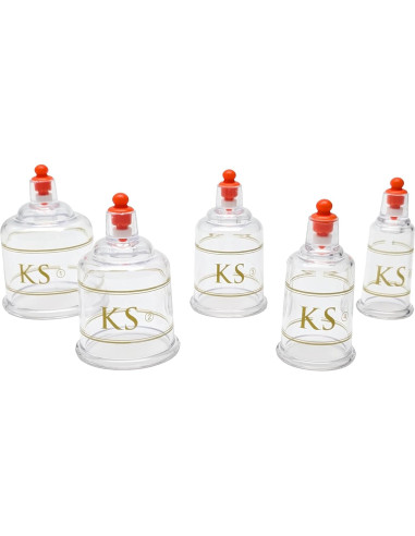 Juego de Ventosas Profesionales KS AG con Bomba y Tubo - 17 Piezas