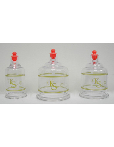 Juego de Ventosas Profesional KS Choi 17 Ventosas y Bomba