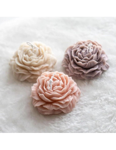 Juego de Moldes de Velas de Peonía Giliger - 2 Piezas 9x9x3.8 cm