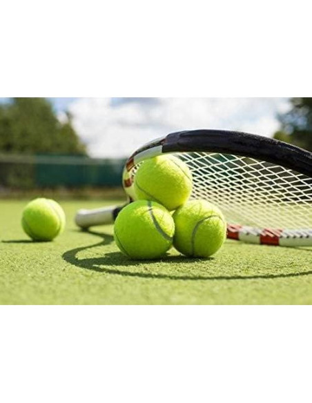 Pelota de Tenis WILSON Extra Duty Lata Individual 4 Unidades