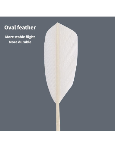 Plumas de bádminton TENGAOSI 12PCS con plumas de pato y corcho