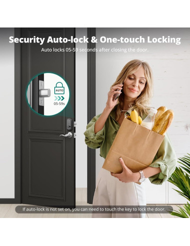 Cerradura Inteligente Biométrica AkaGear DS10 - Níquel Satinado