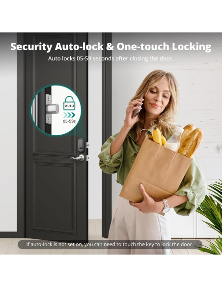 Cerradura Inteligente Biométrica AkaGear DS10 - Níquel Satinado