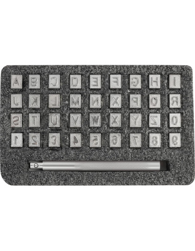 Kit de Estampado en Cuero RJLCTH - 37 Piezas, Sellos 6 mm