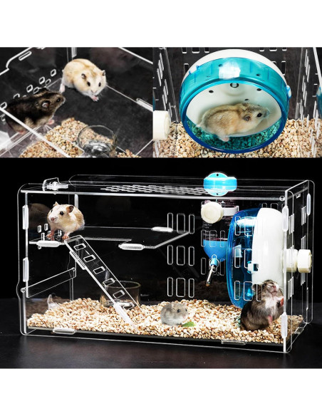 Jaula para Hámster Enano Kathson Acrílica Azul 31.75x16.5x17.4cm