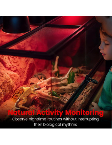 Paquete de 2 Lámparas de Calor Infrarrojo 150W REPTITRIP