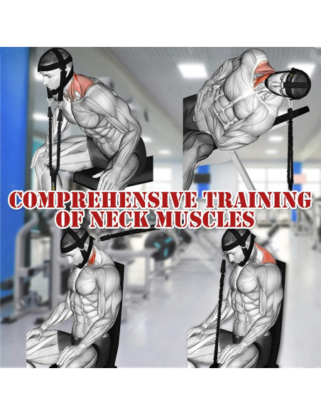 Arnés de Cuello J Bryant con Bandas de Resistencia Ajustable