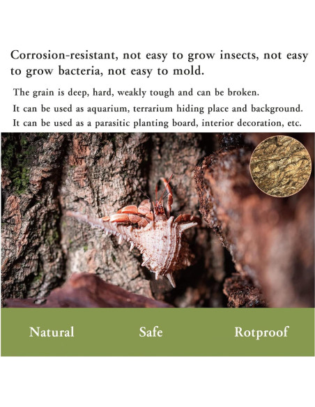 Fondo de Corteza de Corcho Natural Tfwadmx 30x20cm para Reptiles