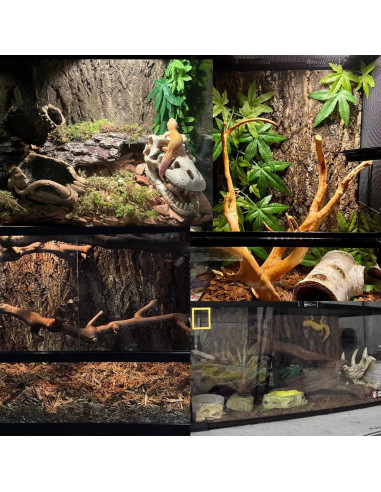 Fondo de Corteza de Corcho Natural Tfwadmx 30x20cm para Reptiles