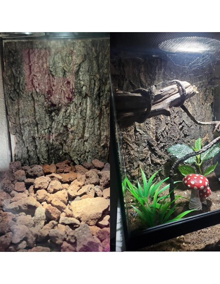 Fondo de Corteza de Corcho Natural Tfwadmx 30x20cm para Reptiles