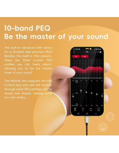 Amplificador de Auriculares FiiO Melody DAC Portátil 81.9g 2