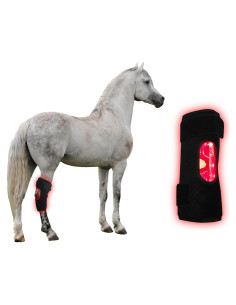 Terapia de Luz Roja para Caballos FSDLJSP 660nm 850nm