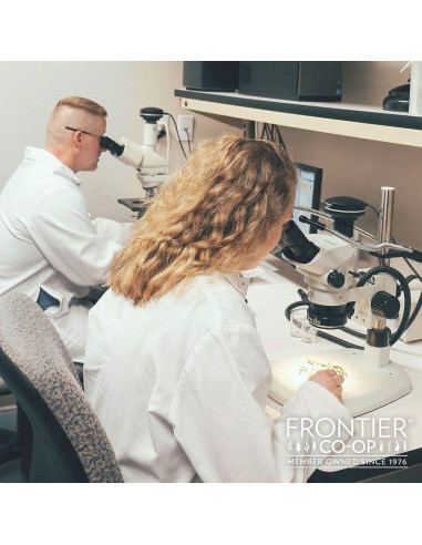 Catnip Orgánico Frontier Co-op 0.45 kg - Hierba Natural para Gatos