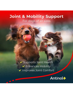 Antinol Plus Suplemento Articular para Perros 60 Geles Blandos 2