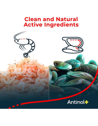 Antinol Plus Suplemento Articular para Perros 60 Geles Blandos