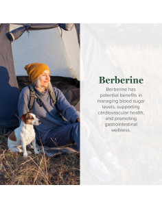 Suplemento de Berberina Orgánica Global Healing 1200 mg - 60 Cápsulas 2