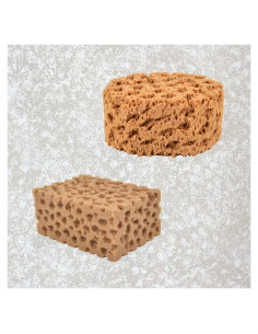 Esponjas Marinas Hanroy para Artistas - 2 Piezas Texturizadoras