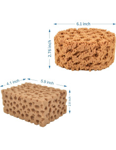 Esponjas Marinas Hanroy para Artistas - 2 Piezas Texturizadoras 2