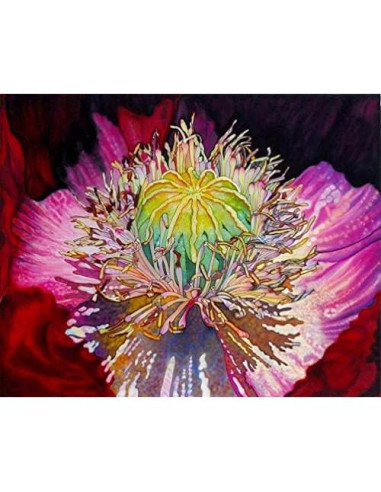 Tinte para Seda Jacquard 60 ml Negro No Tóxico