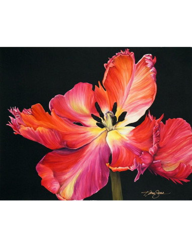 Tinte para Seda Jacquard 60 ml Negro No Tóxico