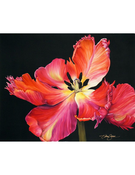 Tinte para Seda Jacquard 60 ml Negro No Tóxico