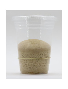 Inicio de Masa Madre Natural Bakerdale 30g - Trigo Integral 2