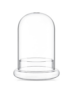 Terrario de Vidrio Perthlin 20 cm con Cúpula y Agujero de Aire