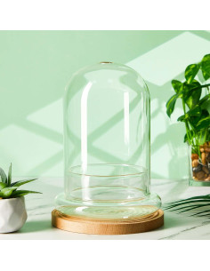 Terrario de Vidrio Perthlin 20 cm con Cúpula y Agujero de Aire 2