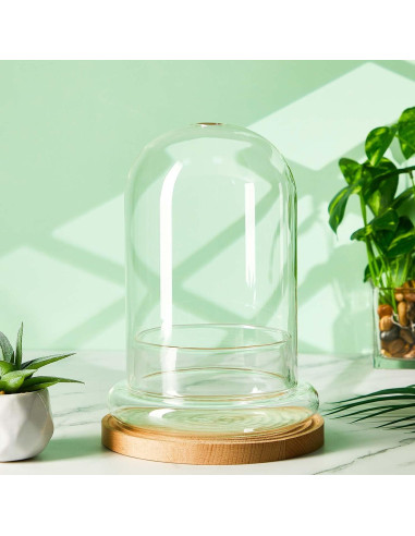 Terrario de Vidrio Perthlin 20 cm con Cúpula y Agujero de Aire