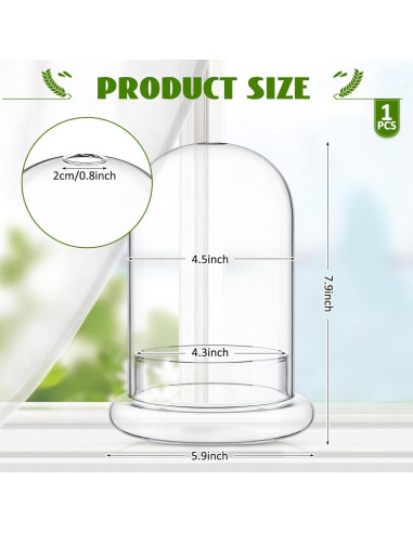 Terrario de Vidrio Perthlin 20 cm con Cúpula y Agujero de Aire