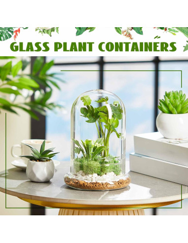 Terrario de Vidrio Perthlin 20 cm con Cúpula y Agujero de Aire