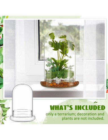 Terrario de Vidrio Perthlin 20 cm con Cúpula y Agujero de Aire