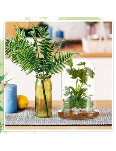 Terrario de Vidrio Perthlin 20 cm con Cúpula y Agujero de Aire