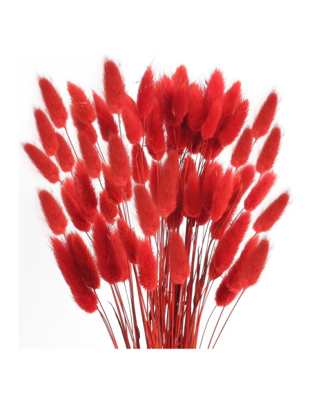 120 Piezas Colas de Conejo Rojas Flores Secas Naturales 43cm