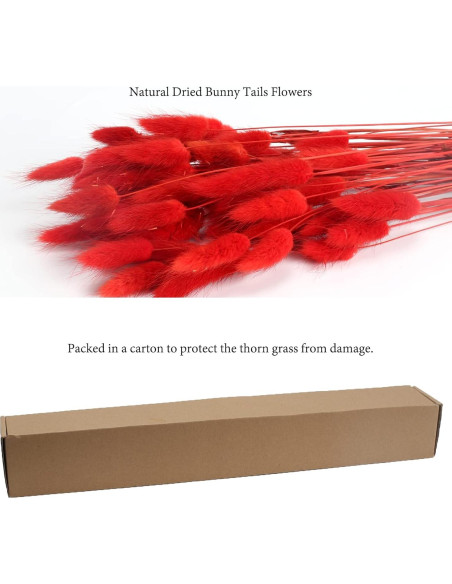120 Piezas Colas de Conejo Rojas Flores Secas Naturales 43cm