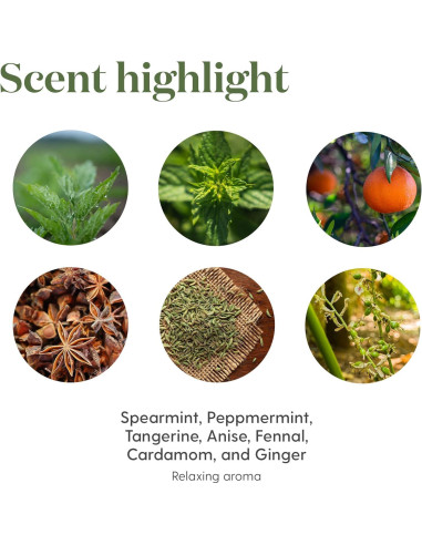 Aceite Esencial Young Living KidScents TummyGize 5 ml - Calmante