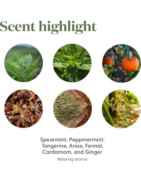 Aceite Esencial Young Living KidScents TummyGize 5 ml - Calmante