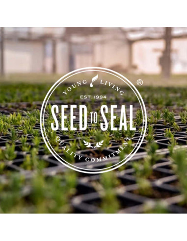 Aceite Esencial Young Living KidScents TummyGize 5 ml - Calmante