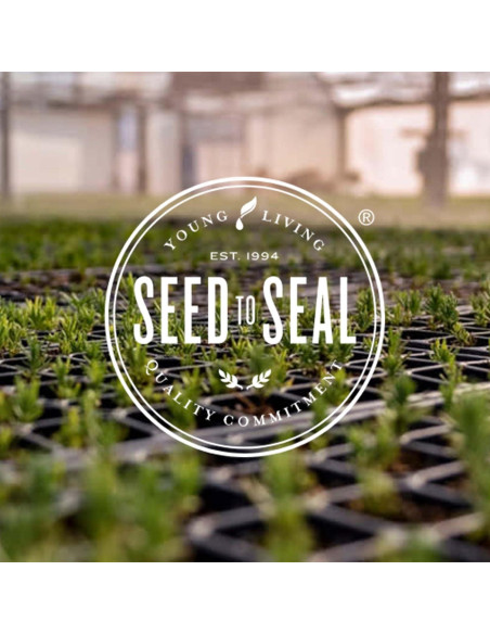 Aceite Esencial Young Living KidScents TummyGize 5 ml - Calmante