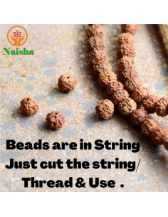 Mala de Rudraksha Naisha 121 Piezas 8-14mm para Meditación 2