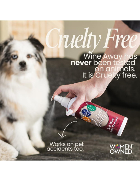 Removedor de Manchas de Vino Tinto Wine Away - 340g Spray