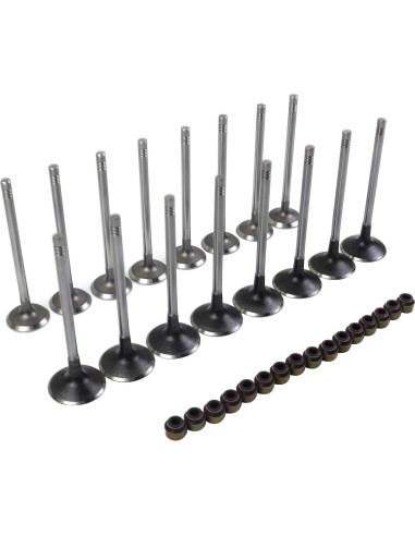 Kit de Cadena de Tiempo y Juntas GELUOXI para Audi y VW 2.0T