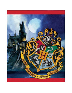 Bolsas de Fiesta Harry Potter Amscan 8 Pcs 27.94x19.05 cm 2