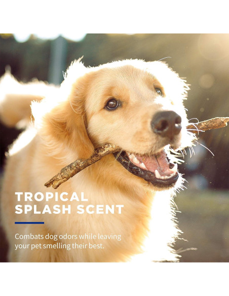 Toallitas Desodorantes Wet Ones para Perros 50 Unidades