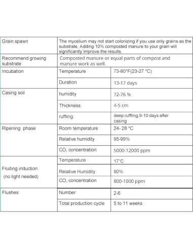 Cultivo Líquido de Hongos Portobello 10cc - Granja de Hongos Raíz