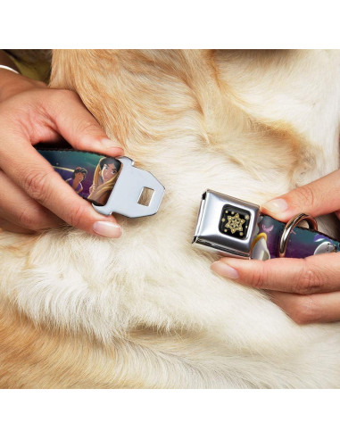 Collar de Perro Buckle-Down Disney Aladino y Jasmine 45-81 cm